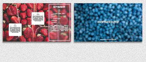 高清美食甜点烹饪电视节目AE模板 设计与下载全攻略